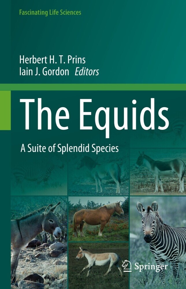 The Equids main product photo