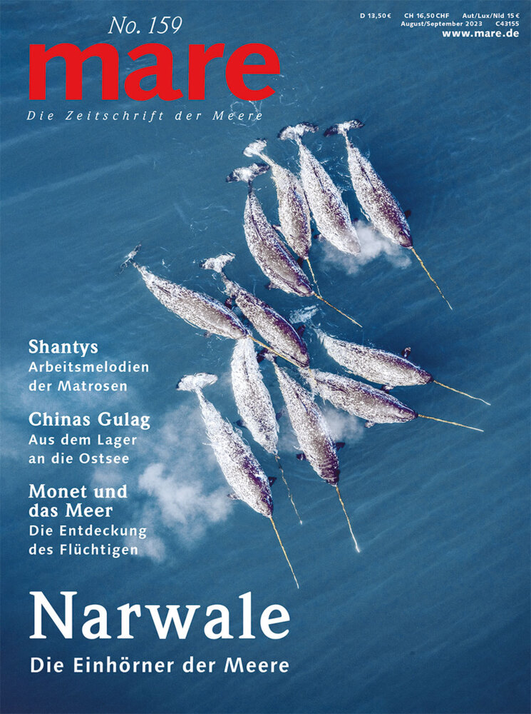 mare - Die Zeitschrift der Meere / No. 159 / Narwale main product photo
