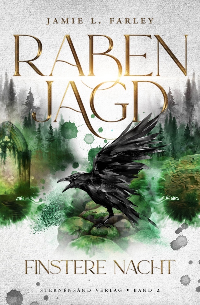 Rabenjagd (Band 2): Finstere Nacht main product photo