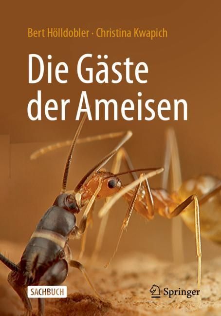 Die Gäste der Ameisen main product photo