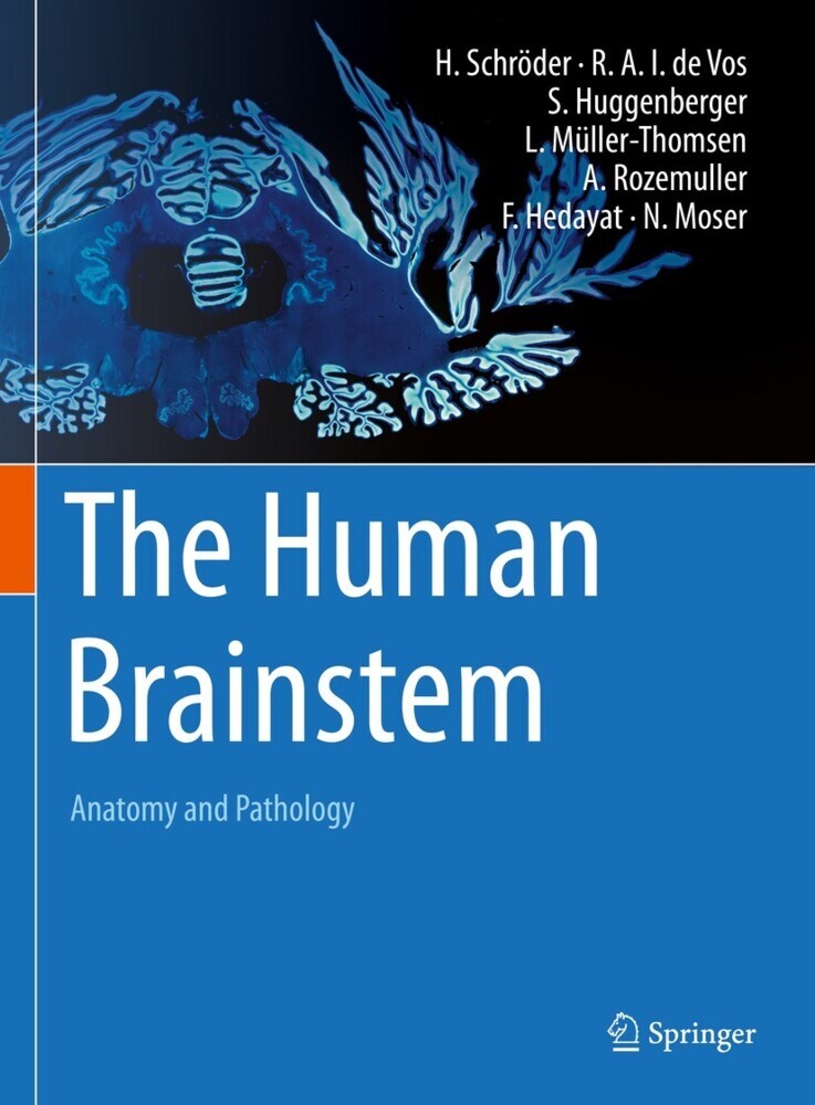 The Human Brainstem main product photo