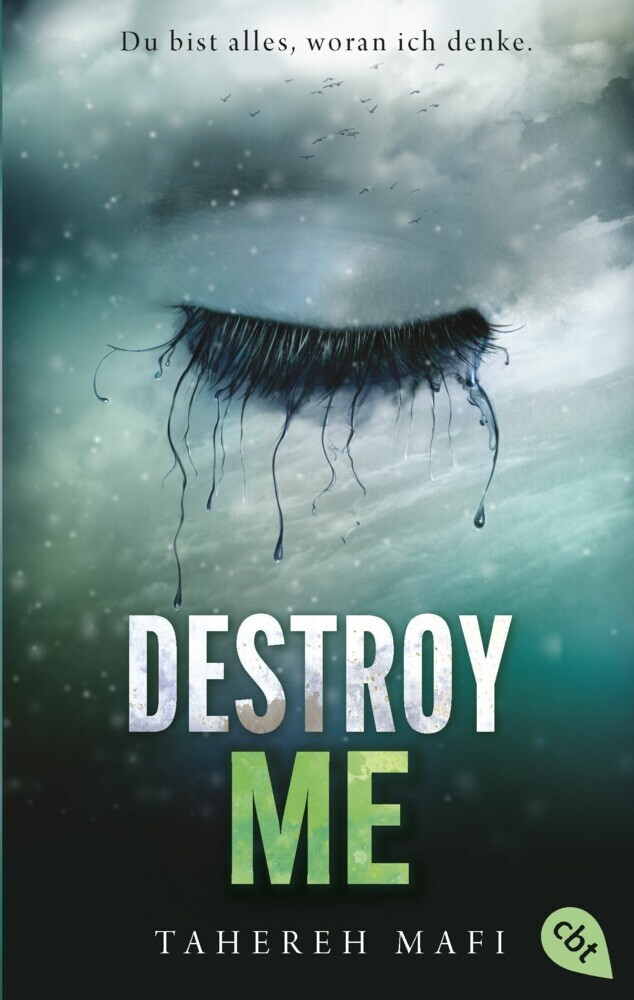 Destroy Me main product photo