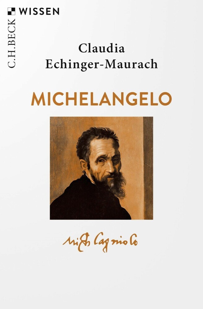 Michelangelo main product photo