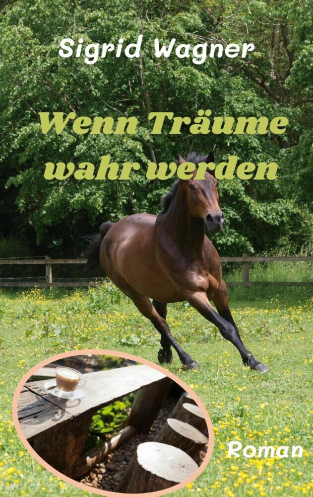 Wenn Träume wahr werden main product photo