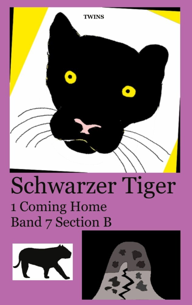 Schwarzer Tiger 1 Coming Home main product photo