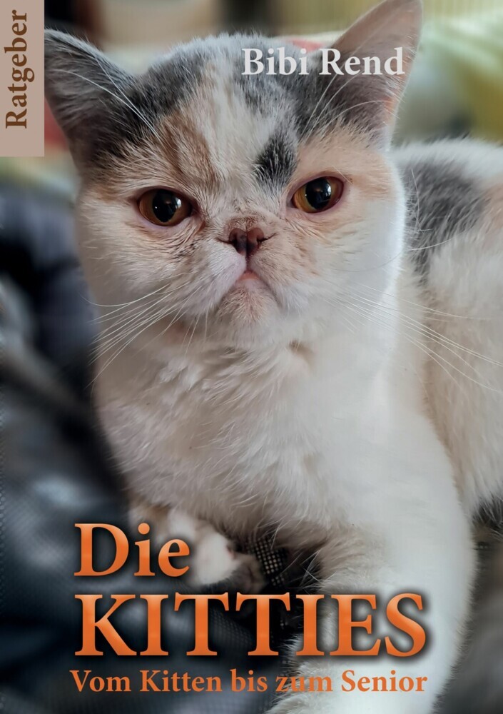 Die Kitties main product photo