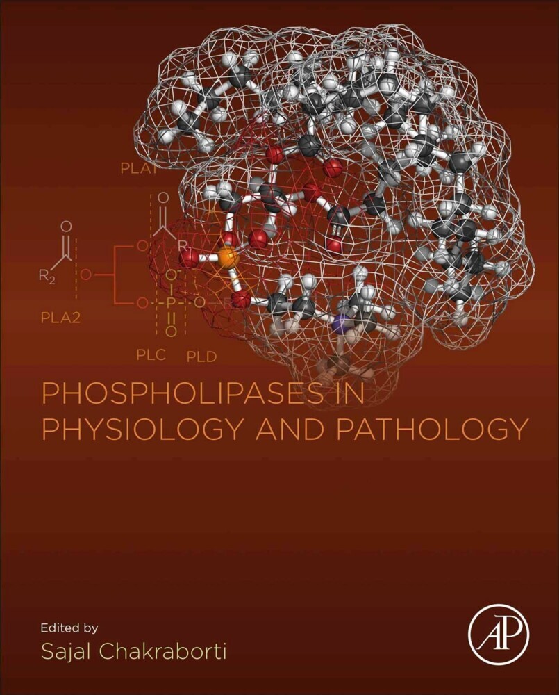 Phospholipases in Physiology and Pathology main product photo