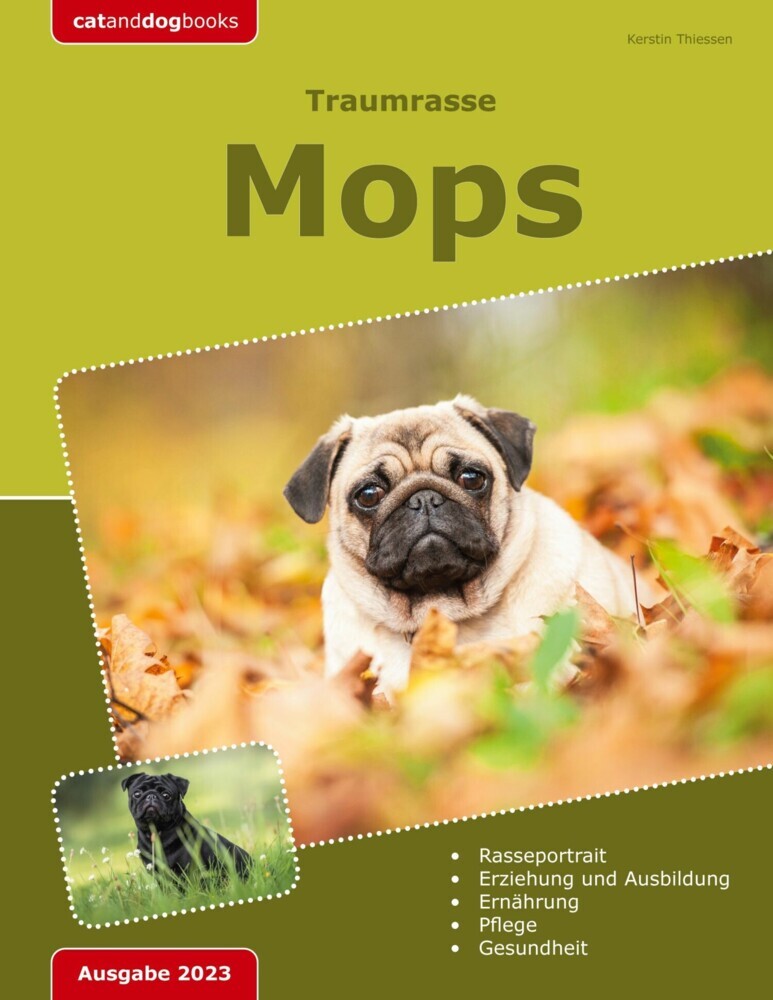 Traumrasse: Mops main product photo