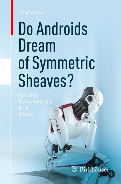 Do Androids Dream of Symmetric Sheaves? main product photo