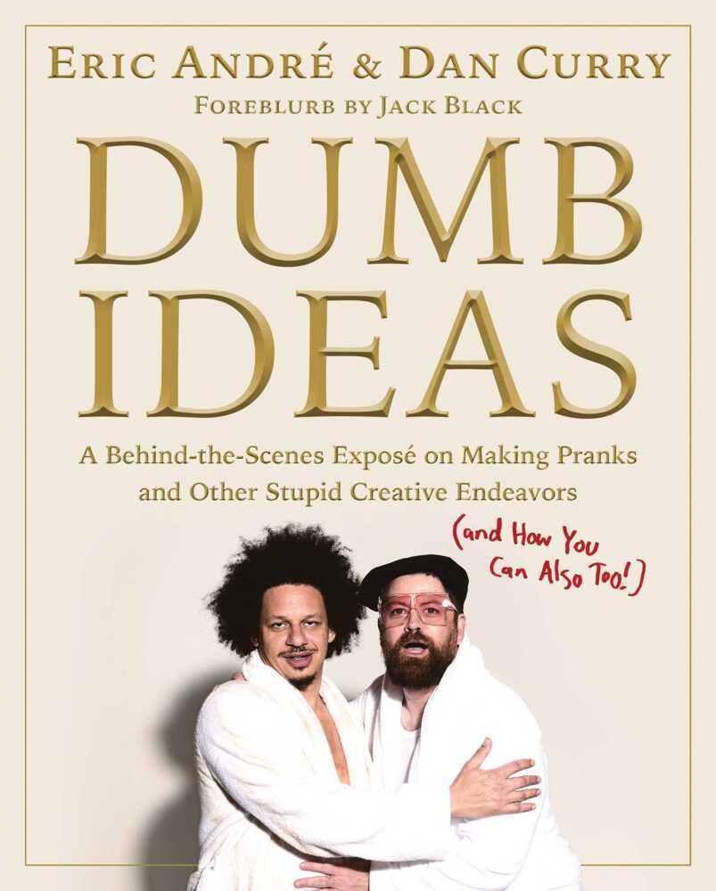 Dumb Ideas main product photo