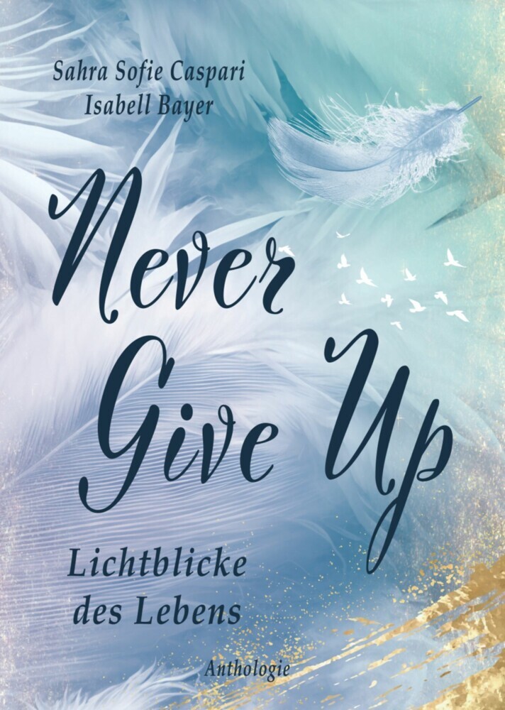 Never Give Up main product photo