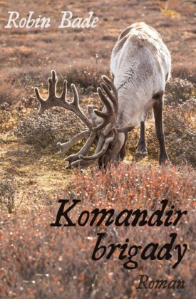 Komandir brigady