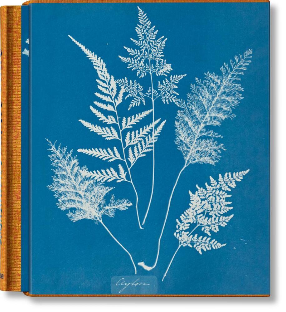 Anna Atkins. Cyanotypes main product photo