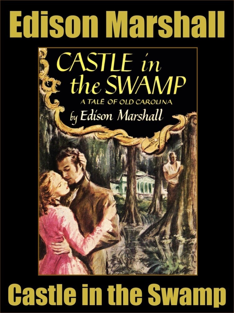 Castle in the Swamp main product photo