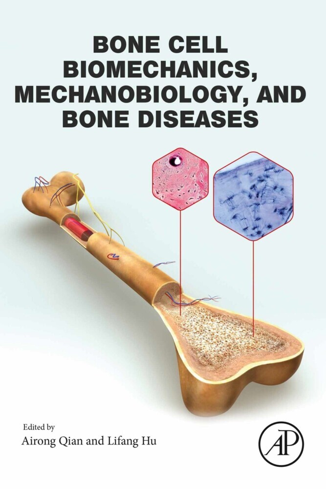 Bone Cell Biomechanics, Mechanobiology and Bone Diseases main product photo