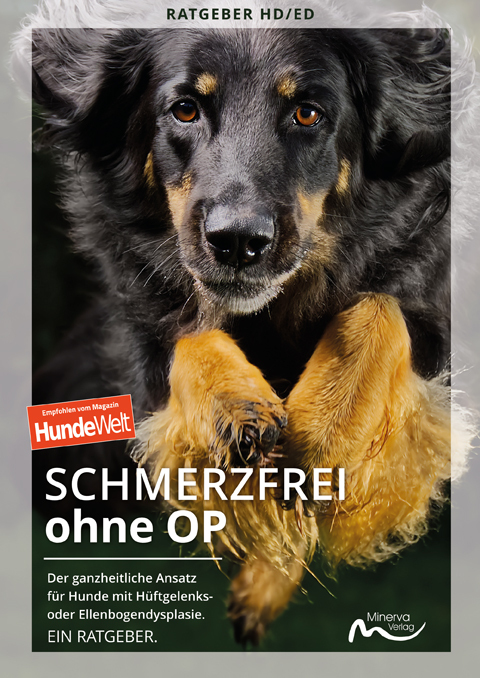 Schmerzfrei ohne OP main product photo