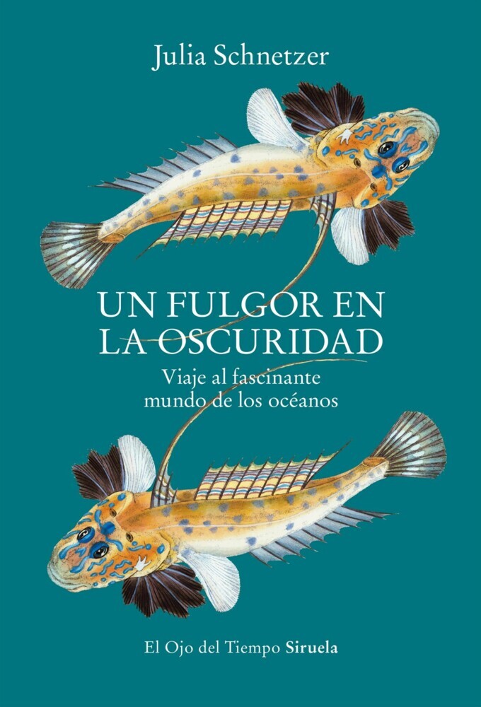 Un fulgor en la oscuridad main product photo