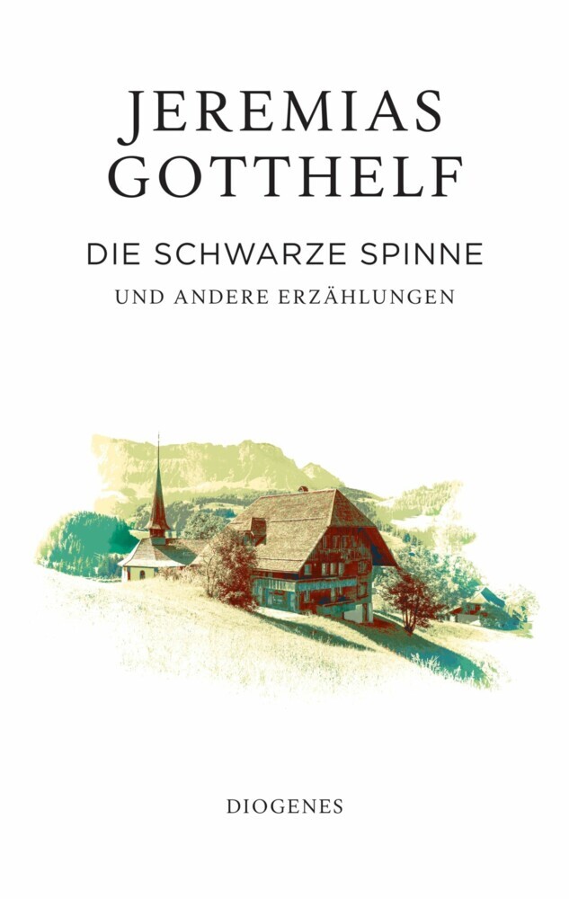 Die schwarze Spinne main product photo
