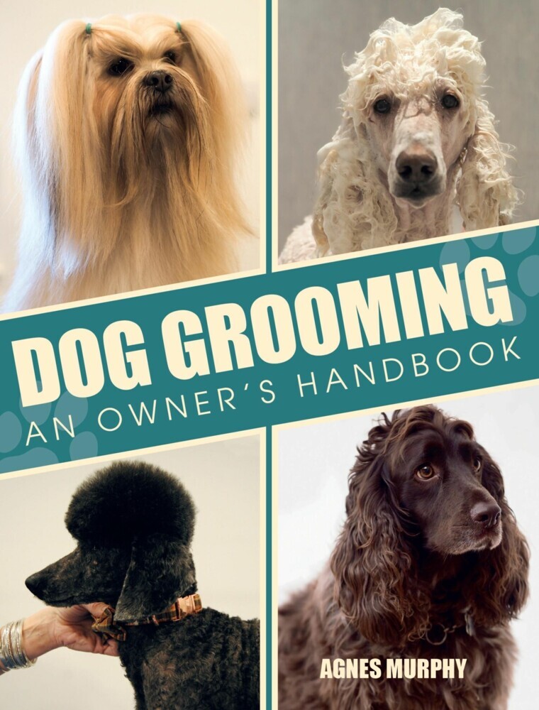 Dog Grooming main product photo