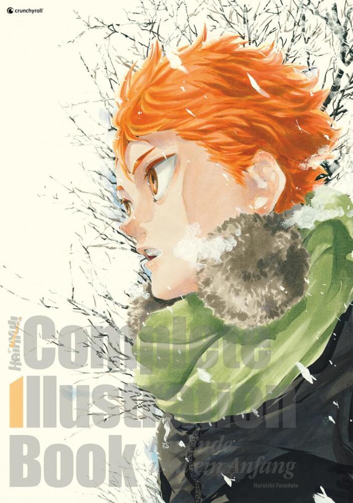 Haikyu!! Complete Illustration Book - Ein Ende und ein Anfang main product photo