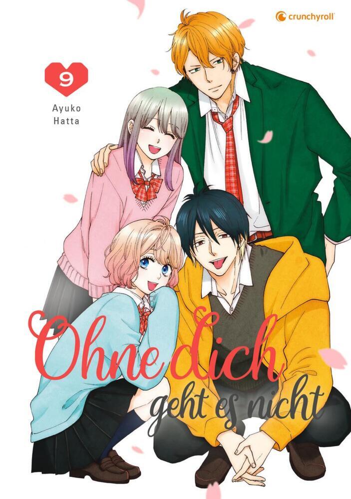 Ohne dich geht es nicht - Band 9 (Finale) main product photo