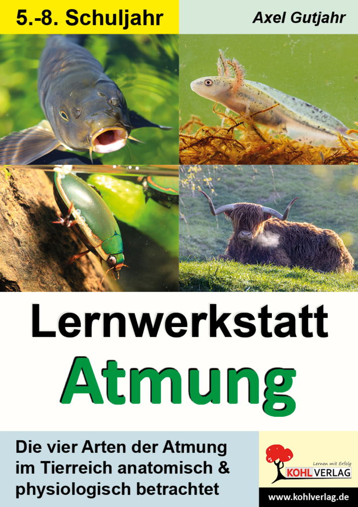 Lernwerkstatt Atmung / Band 1 (Klasse 5-8) main product photo