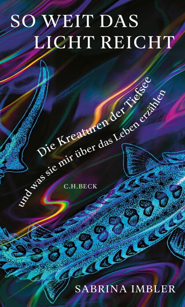 So weit das Licht reicht main product photo