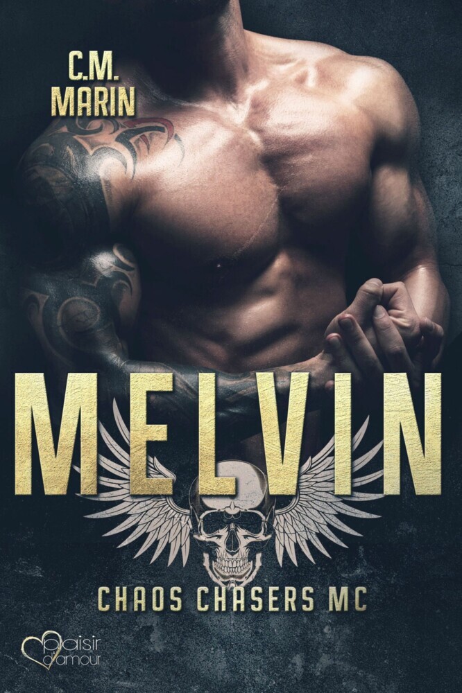 The Chaos Chasers MC Teil 6: Melvin main product photo