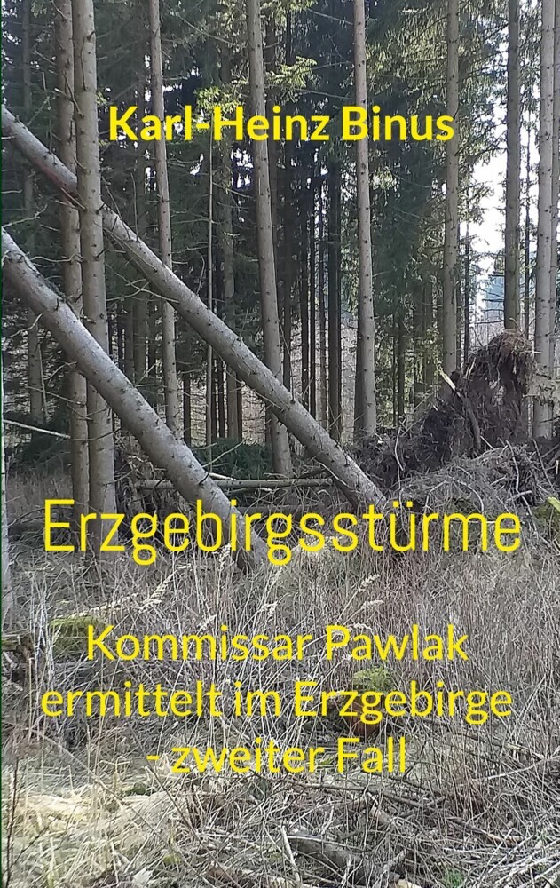 Erzgebirgsstürme main product photo