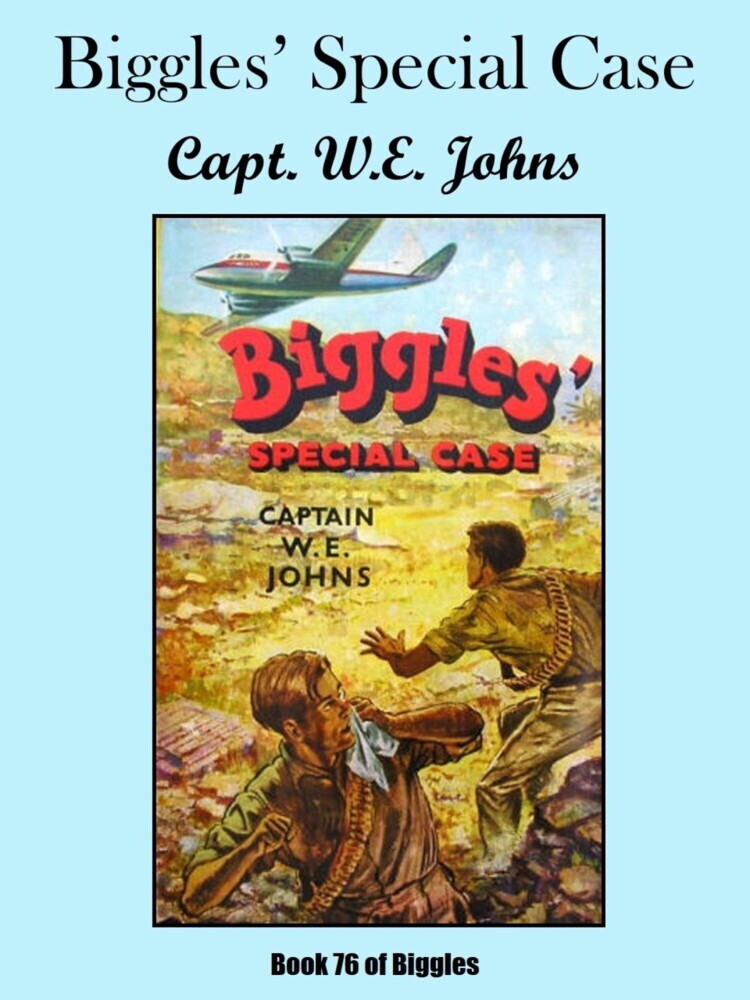 Biggles' Special Case main product photo