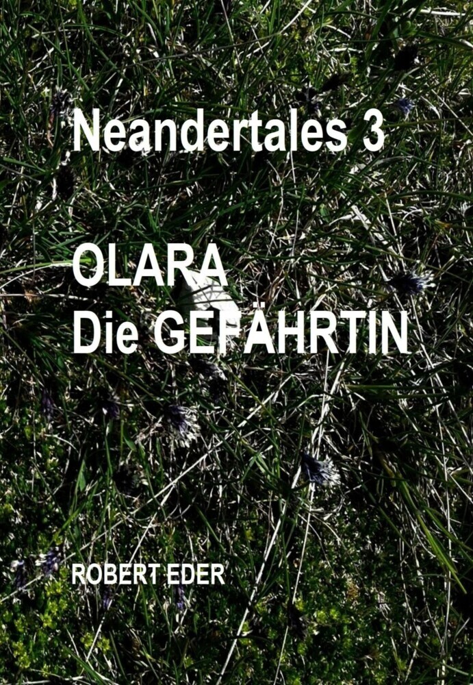 Neandertales 3 main product photo