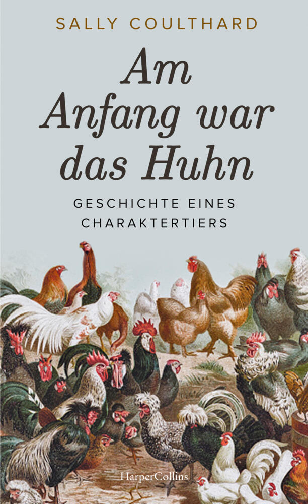 Am Anfang war das Huhn. Geschichte eines Charaktertiers main product photo