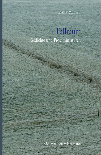 Fallraum main product photo