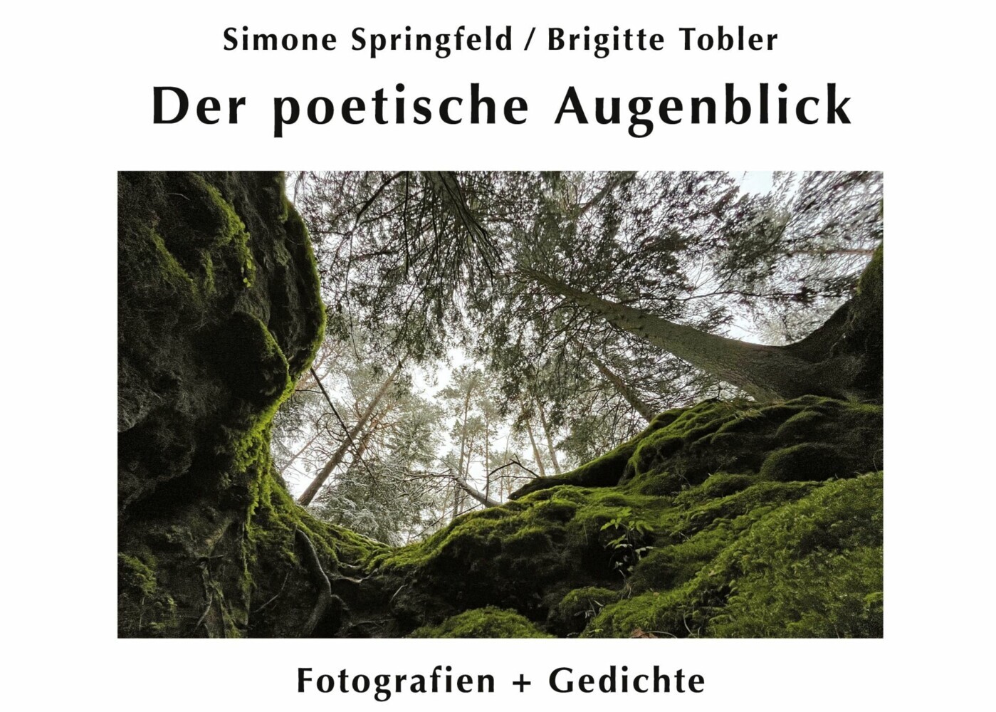Der poetische Augenblick main product photo