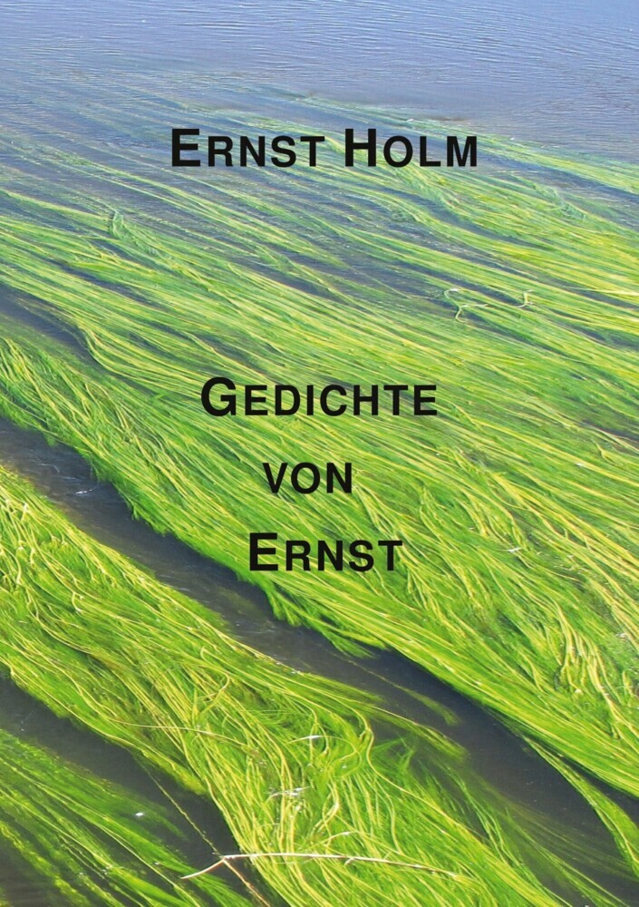 Gedichte von Ernst main product photo