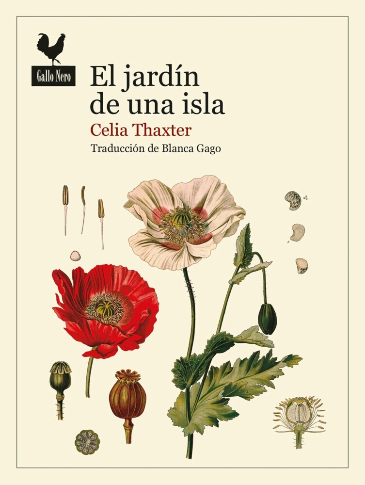 El jardín de una isla main product photo