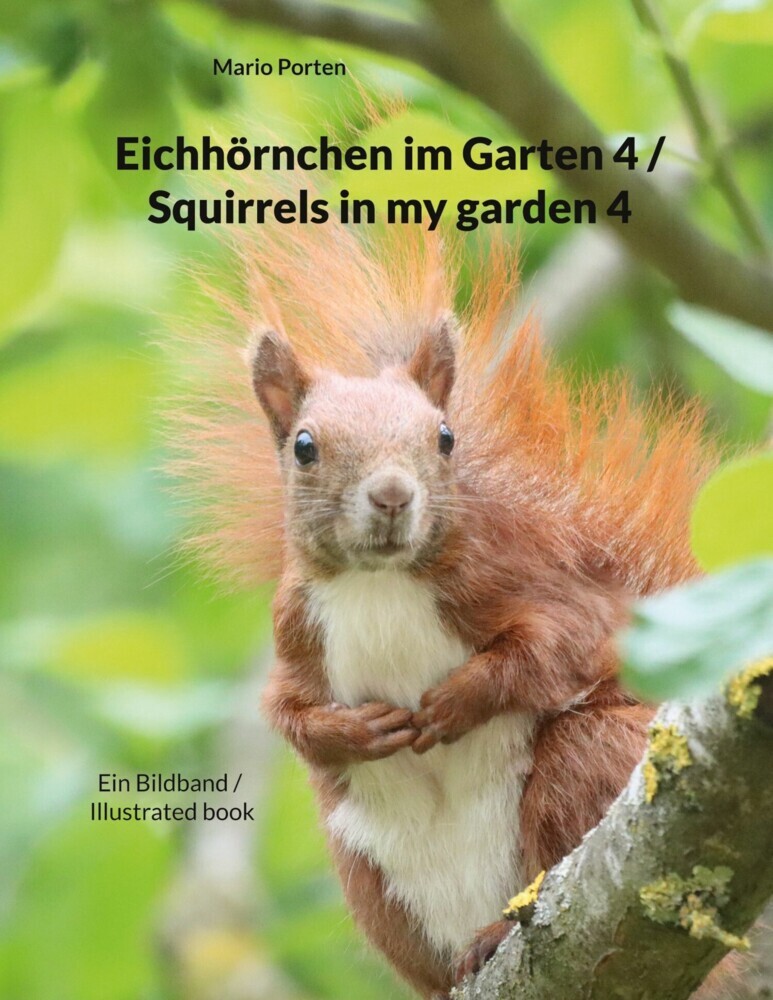 Eichhörnchen im Garten 4 / Squirrels in my garden 4 main product photo