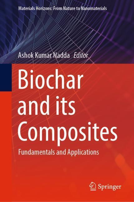 Biochar and its Composites main product photo