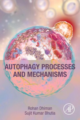 Autophagy Processes and Mechanisms