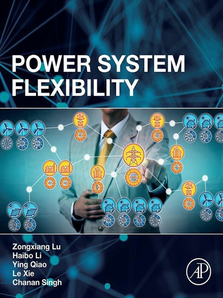 Power System Flexibility main product photo
