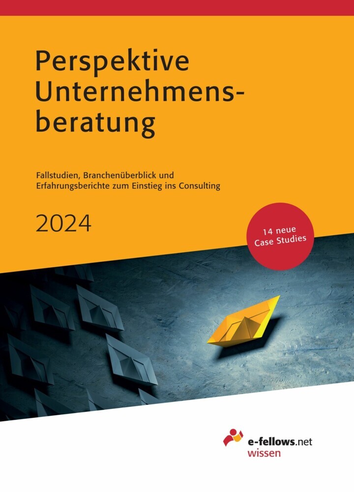 Perspektive Unternehmensberatung 2024 main product photo