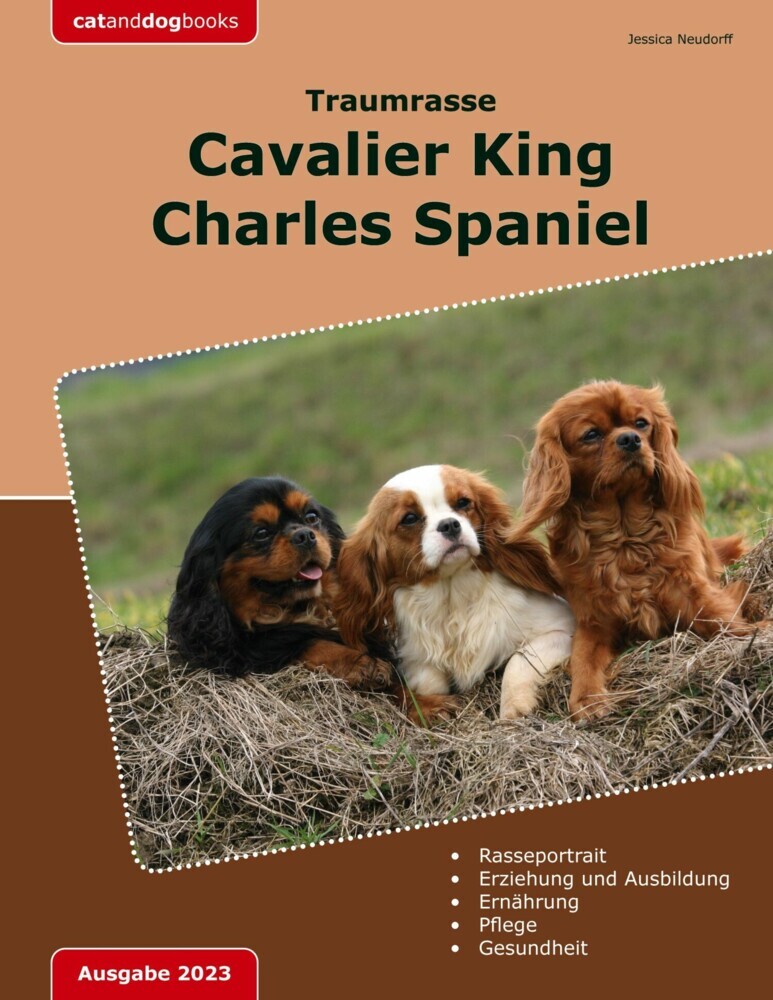 Traumrasse: Cavalier King Charles Spaniel main product photo