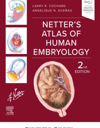 Netter's Atlas of Human Embryology - E-BOOK