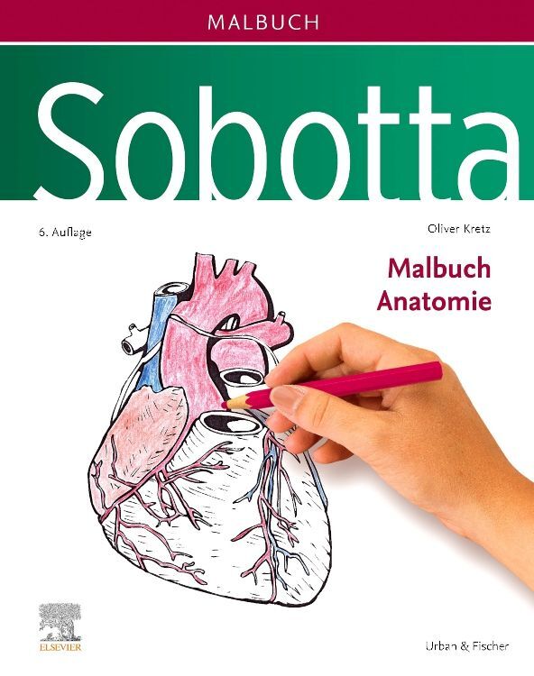 Sobotta Malbuch Anatomie main product photo