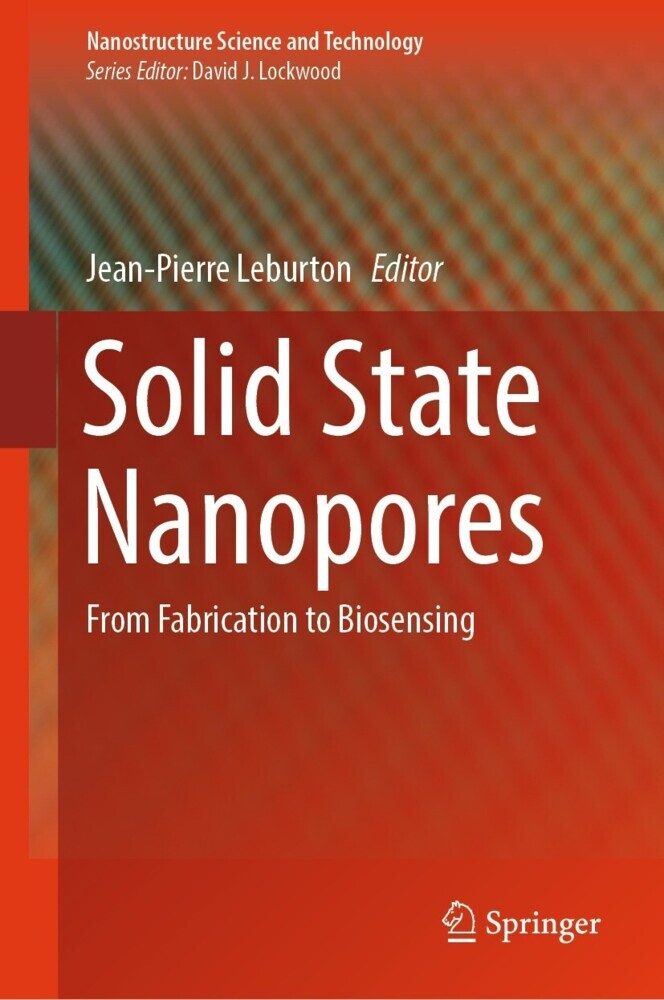 Solid State Nanopores main product photo