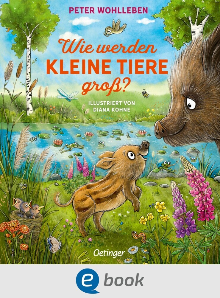 Wie werden kleine Tiere groß? main product photo