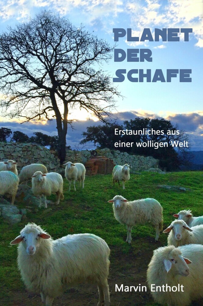 Planet der Schafe main product photo