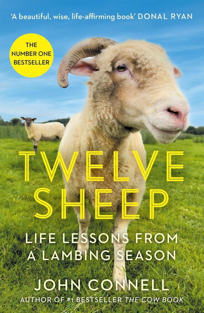 Twelve Sheep main product photo