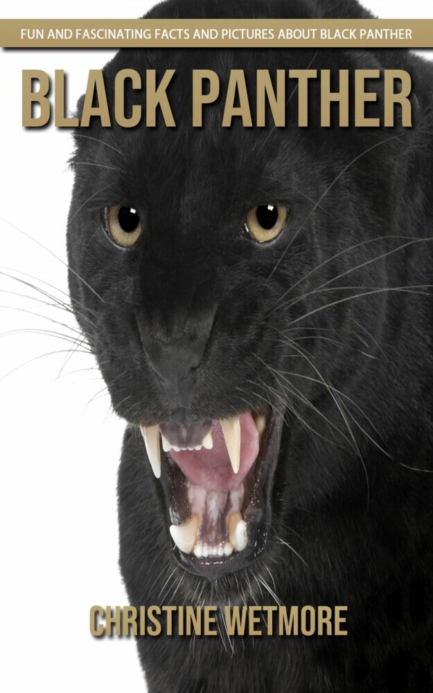 Black Panther - Fun and Fascinating Facts and Pictures About Black Panther main product photo