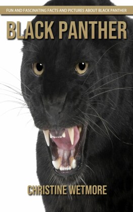 Black Panther - Fun and Fascinating Facts and Pictures About Black Panther